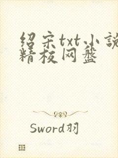 绍宋txt小说精校网盘
