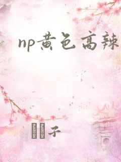 np黄色高辣文