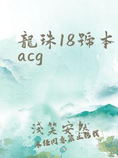 龙珠18号本子acg