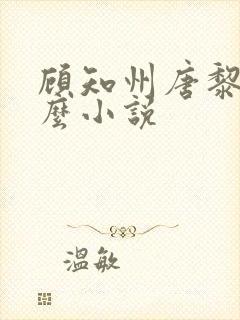 顾知州唐黎叫什么小说