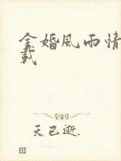 金婚风雨情 下载