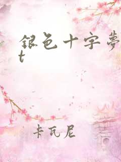 银色十字梦txt