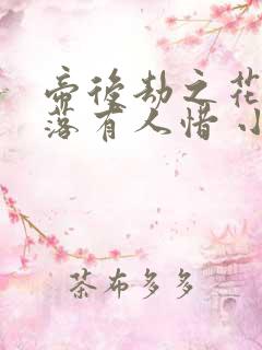 帝后劫之花开花落有人惜 小说