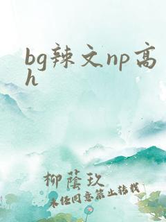 bg辣文np高h