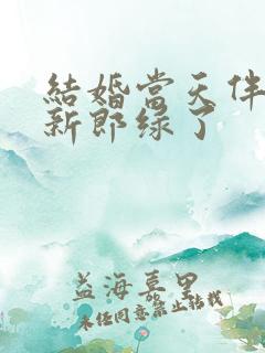 结婚当天伴郎把新郎绿了