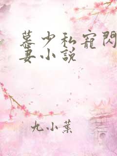 慕少私宠闪婚甜妻小说