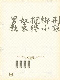 男奴捆绑刑具调教束缚小说