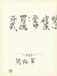 斗罗:觉醒双生武魂 中原小魔人