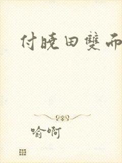 付晓田双面间谍