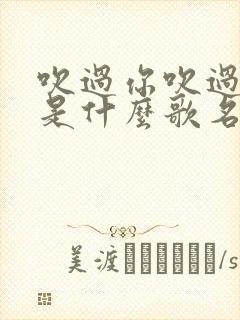 吹过你吹过的风是什么歌名