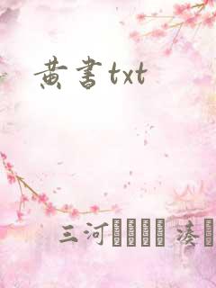 黄书txt