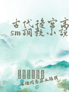 古代后宫高h sm调教小说