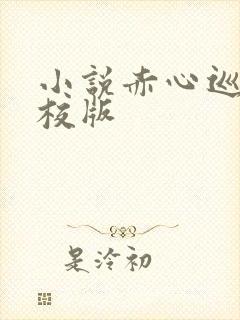 小说赤心巡天精校版