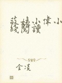 苏姨小伟小说在线阅读