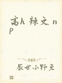 高h 辣文 np