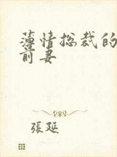 薄情总裁的失声前妻