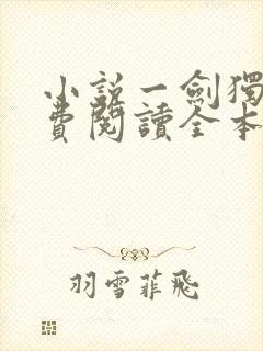 小说一剑独尊免费阅读全本