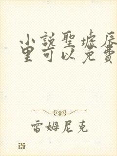 小说圣墟辰东哪里可以免费阅读