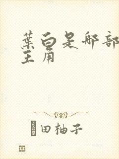 叶白是哪部小说主角