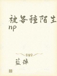 被各种陌生人 np