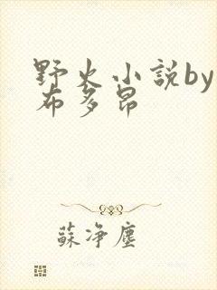 野火小说by夏布多昂