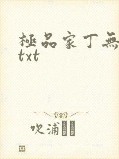 极品家丁无删减txt