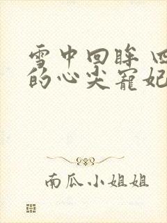 雪中回眸 四爷的心尖宠妃