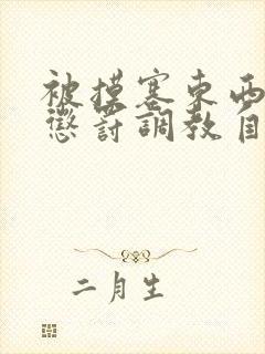 被摸塞东西进去惩罚调教自己