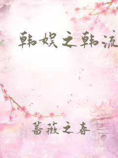 韩娱之韩流全球