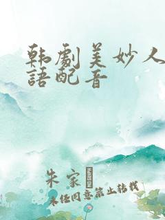 韩剧美妙人生国语配音