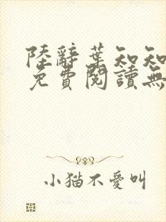 陆辞叶知知全文免费阅读无弹窗