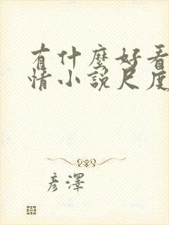 有什么好看的言情小说尺度大的