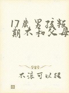 17岁男孩叛逆期不和父母沟通怎么办