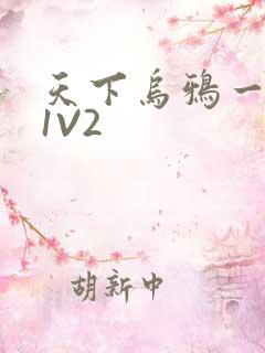 天下乌鸦一般黑1V2