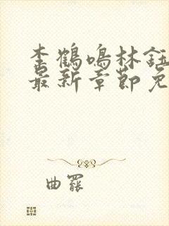 李鹤鸣林钰小说最新章节免费阅读