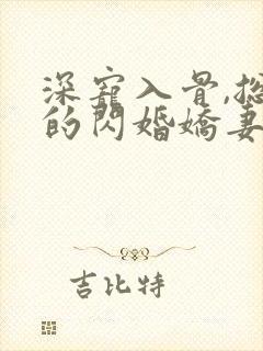 深宠入骨,总裁的闪婚娇妻