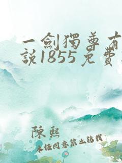 一剑独尊有声小说1855免费听