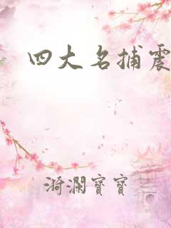 四大名捕震关东