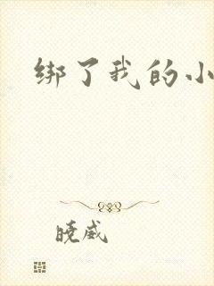 绑了我的小乖乖