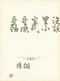 哥哥家里没人使劲操我小说