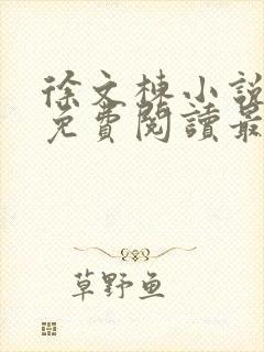 徐文栋小说全文免费阅读最新章节无