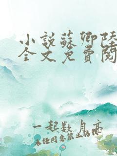 小说苏卿陆容渊全文免费阅读