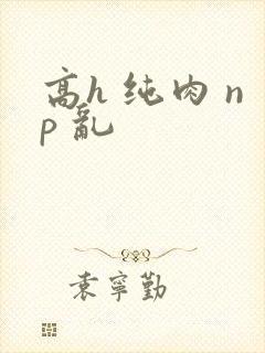 高h 纯肉 np 乱