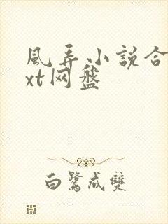 风弄小说合集txt网盘
