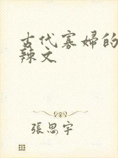 古代寡妇的np辣文