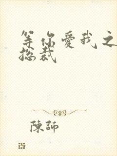 等你爱我之冰山总裁