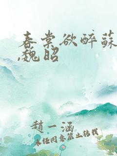 春棠欲醉苏锦瑶,魏昭