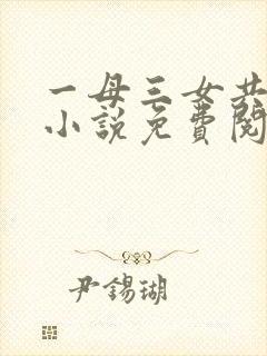 一母三女共一婿小说免费阅读笔趣阁