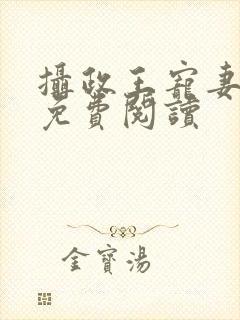 摄政王宠妻如命免费阅读