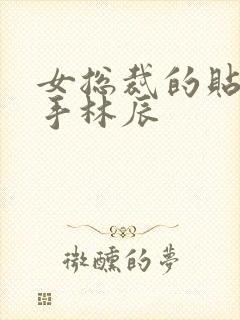 女总裁的贴身高手林辰